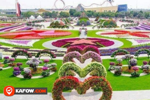 Miracle Garden Airplane Flowers